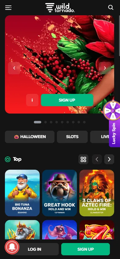 Wild Tornado Casino mobile home experience on a smartphone